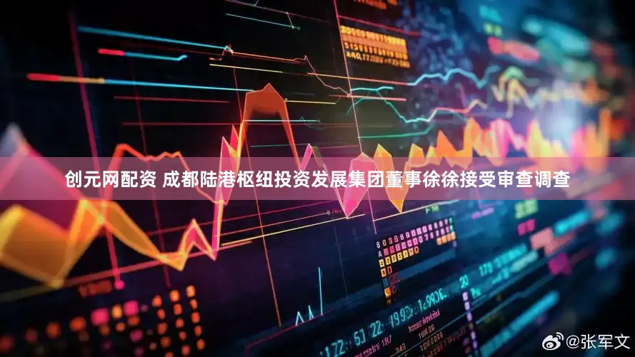 创元网配资 成都陆港枢纽投资发展集团董事徐徐接受审查调查
