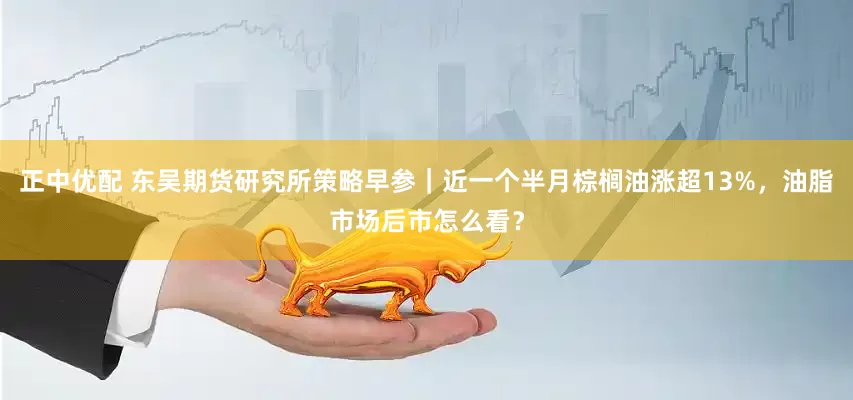 正中优配 东吴期货研究所策略早参｜近一个半月棕榈油涨超13%，油脂市场后市怎么看？