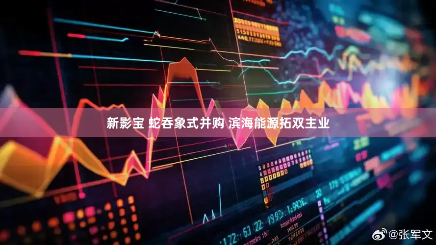 新影宝 蛇吞象式并购 滨海能源拓双主业