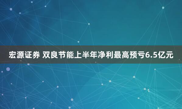 宏源证券 双良节能上半年净利最高预亏6.5亿元