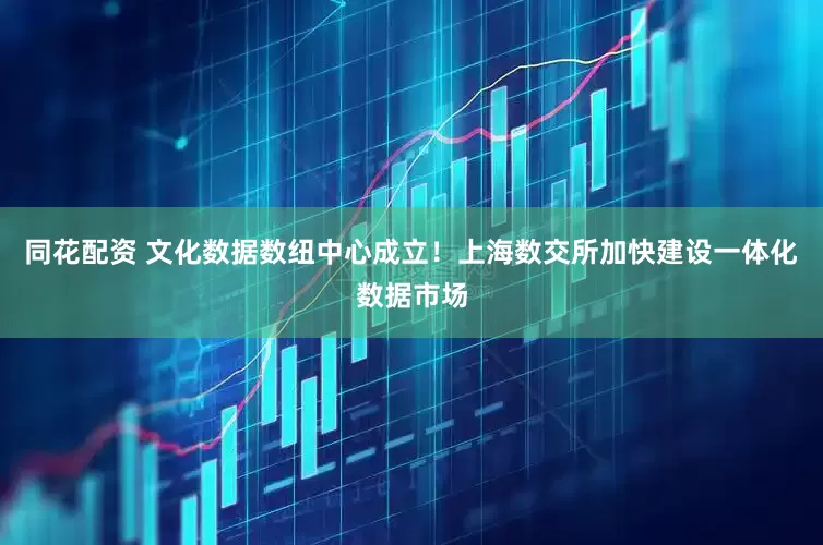 同花配资 文化数据数纽中心成立！上海数交所加快建设一体化数据市场