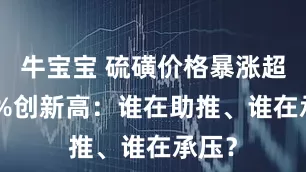 牛宝宝 硫磺价格暴涨超320%创新高：谁在助推、谁在承压？
