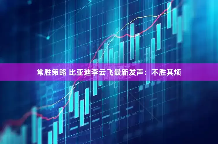 常胜策略 比亚迪李云飞最新发声：不胜其烦